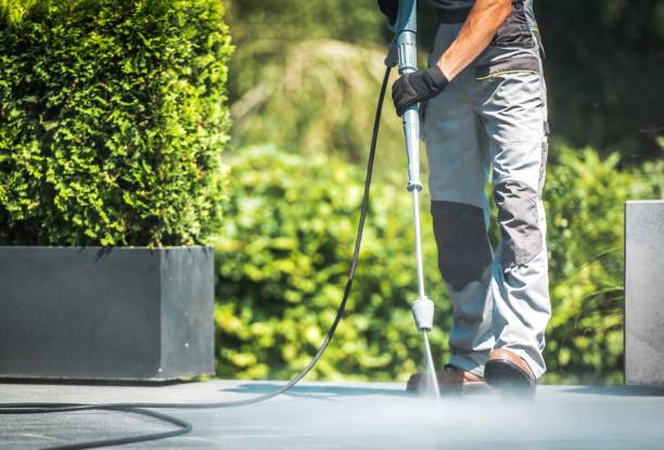 Best Rust Removal  in Iron River, MI