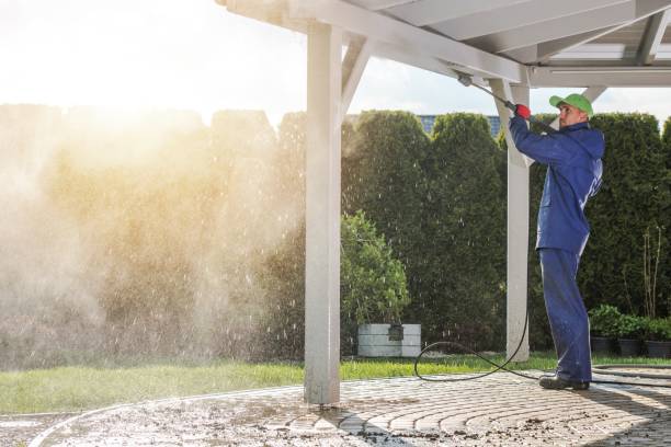 Best Residential Exterior Washing  in Iron River, MI