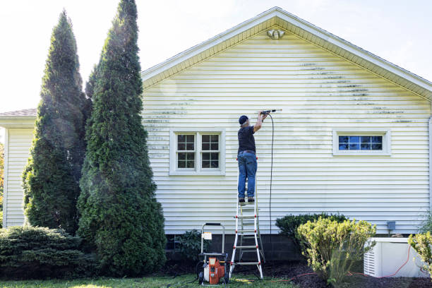 Best Roof Washing  in Iron River, MI